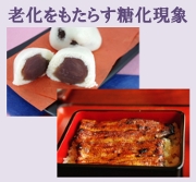 サンプルイメージ