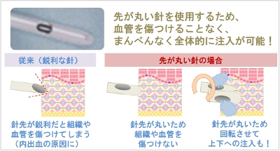 サンプルイメージ